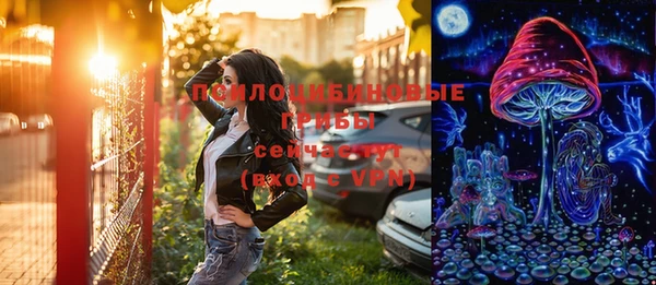 PSILOCYBIN Верхний Тагил