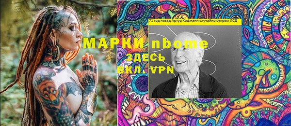 ГАЛЛЮЦИНОГЕННЫЕ ГРИБЫ Бородино